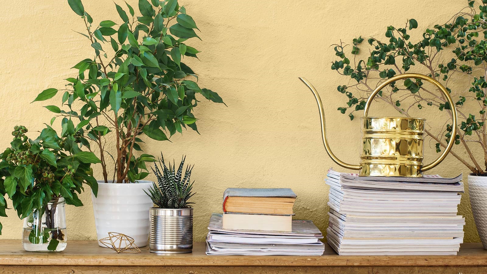 “Distant Sunlight” gir boligen et varmt uttrykk