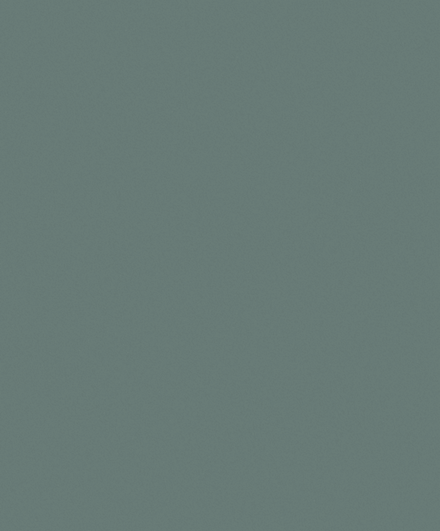 Fiona Goosebumps 630217