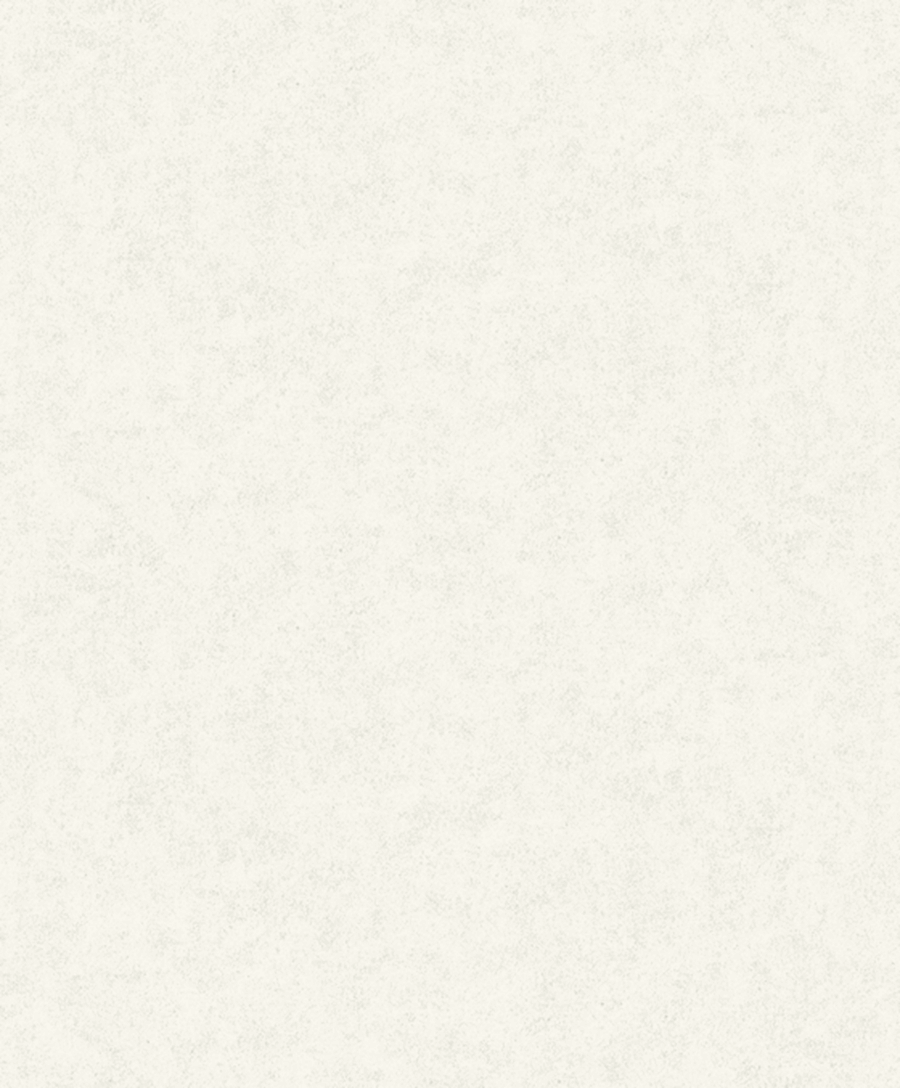 Fiona Concrete Experience 630422