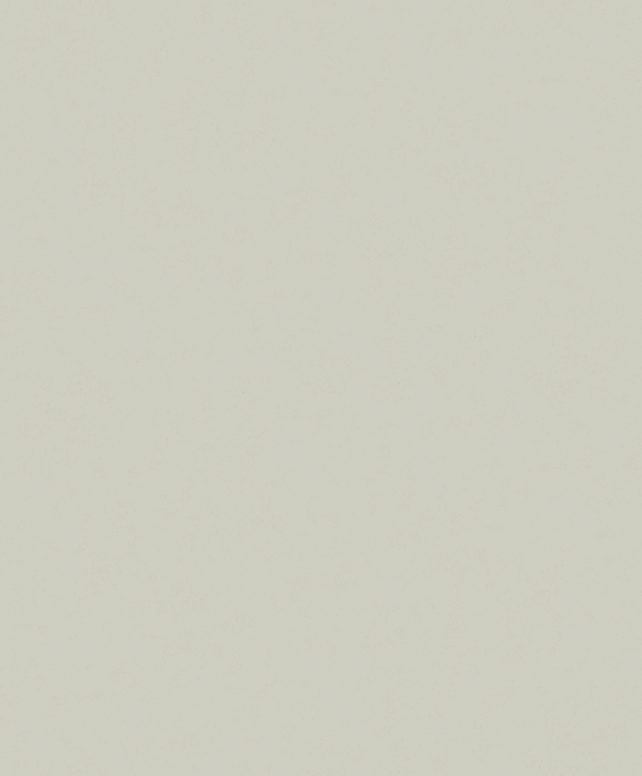 Fiona Concrete Experience 630426